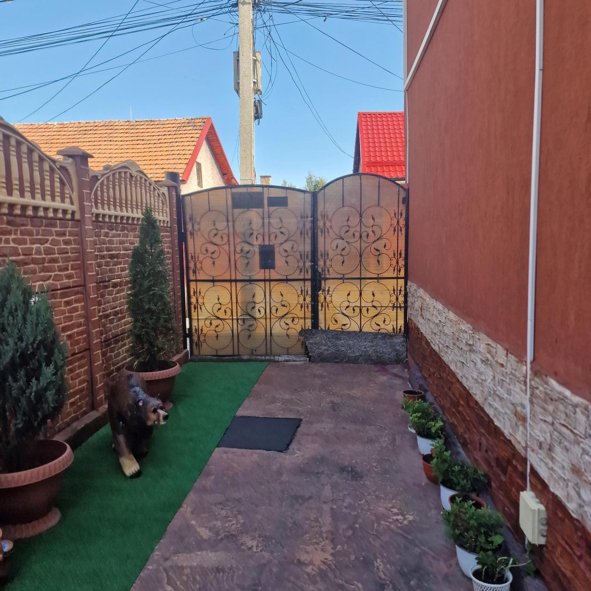 Casa Cojanu Otel Petroşani Dış mekan fotoğraf