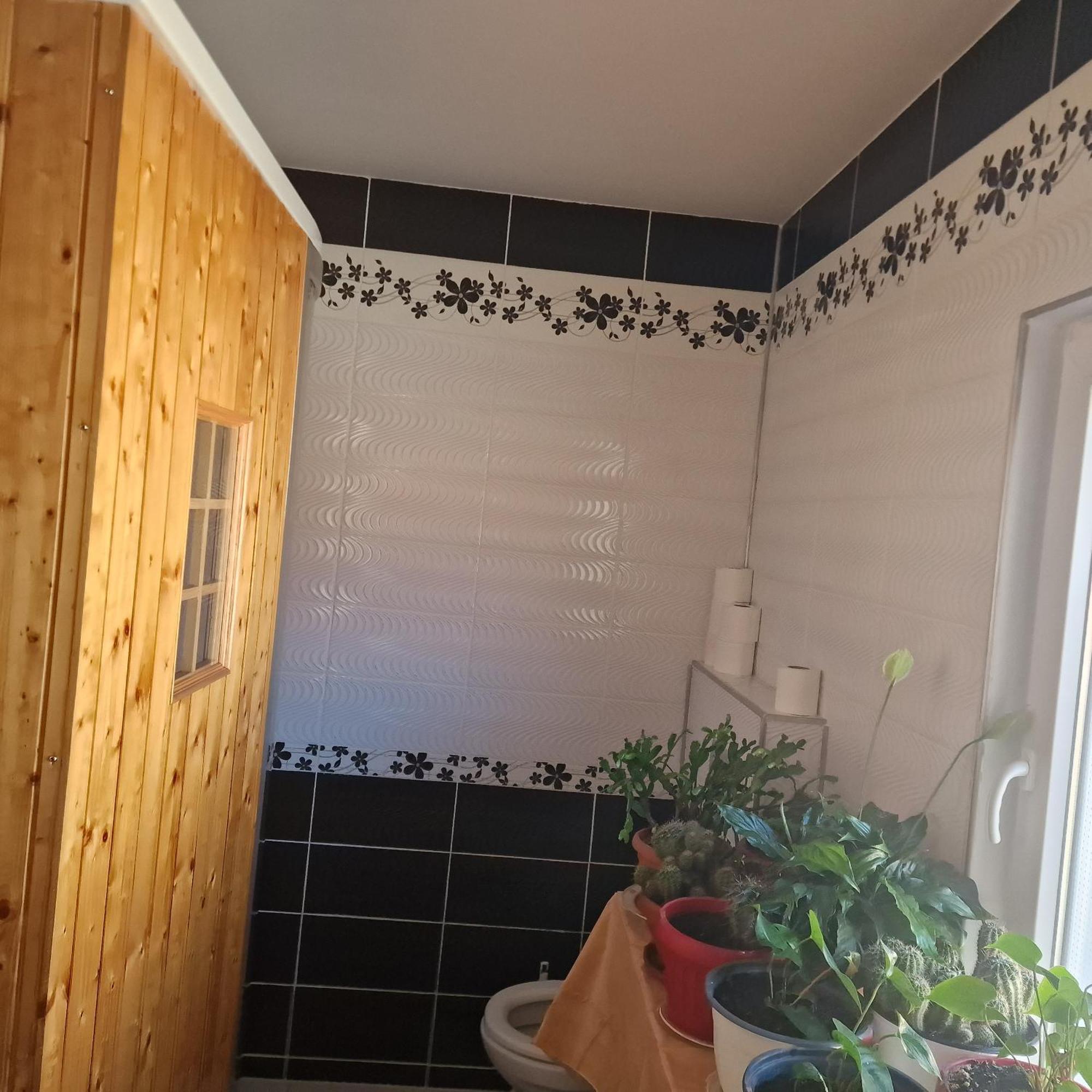 Casa Cojanu Otel Petroşani Dış mekan fotoğraf