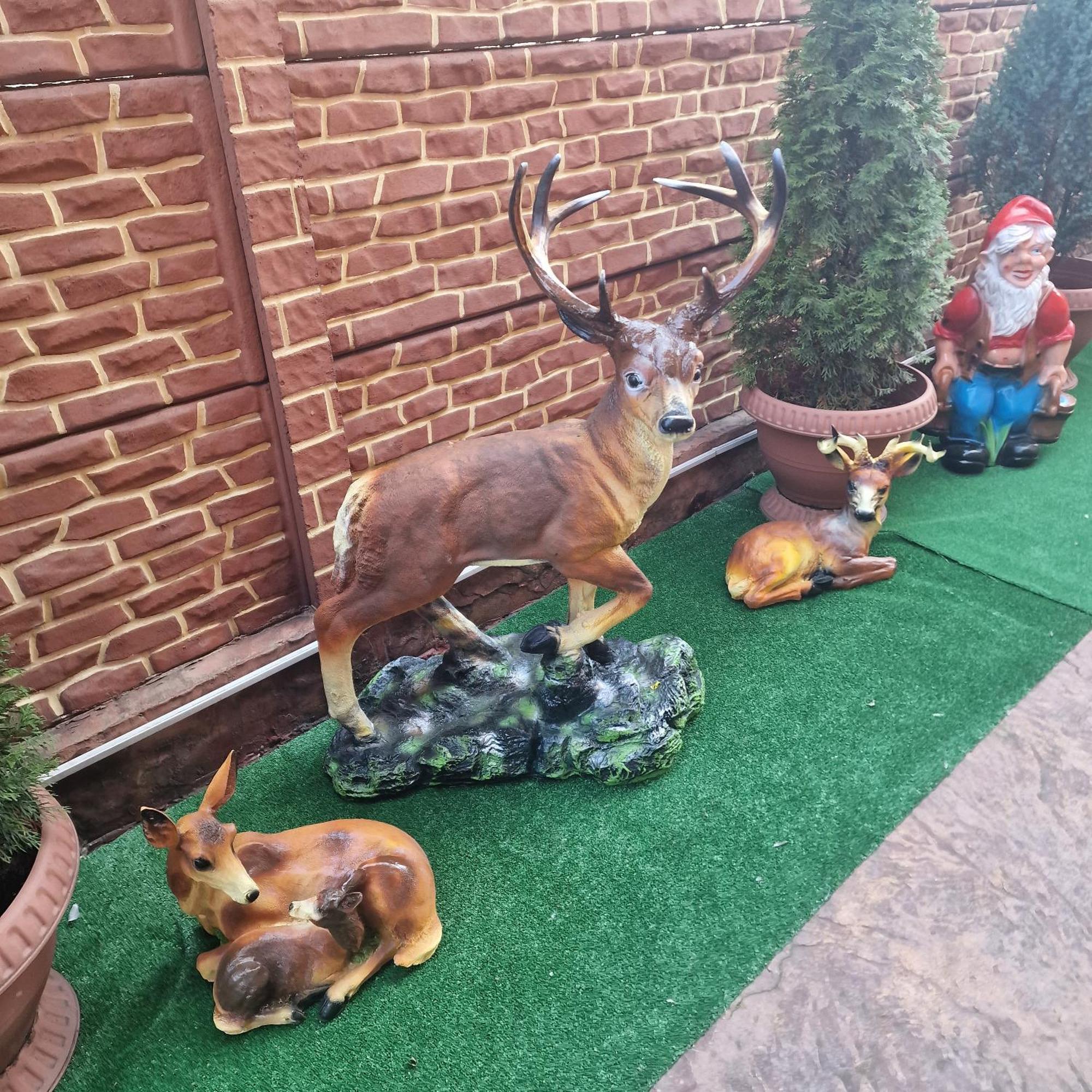 Casa Cojanu Otel Petroşani Dış mekan fotoğraf