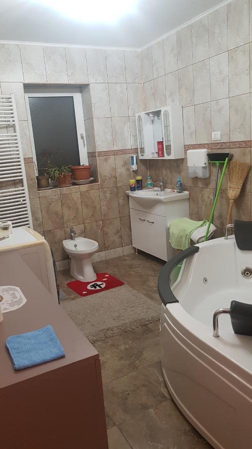 Casa Cojanu Otel Petroşani Dış mekan fotoğraf