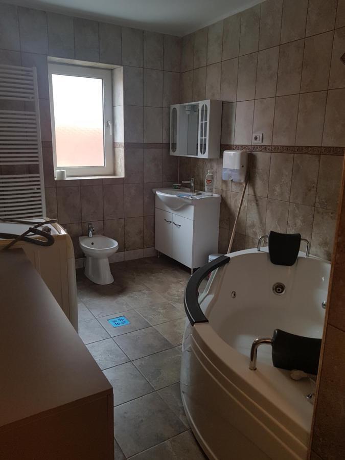 Casa Cojanu Otel Petroşani Dış mekan fotoğraf