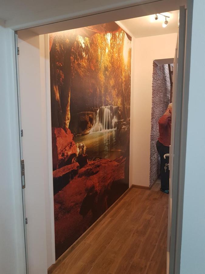 Casa Cojanu Otel Petroşani Dış mekan fotoğraf