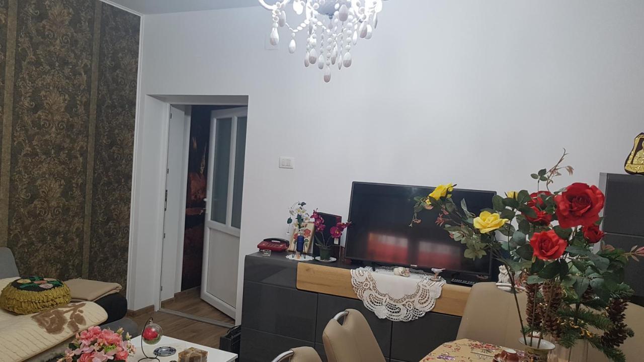 Casa Cojanu Otel Petroşani Dış mekan fotoğraf