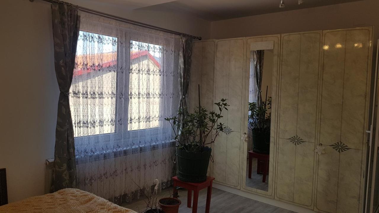 Casa Cojanu Otel Petroşani Dış mekan fotoğraf
