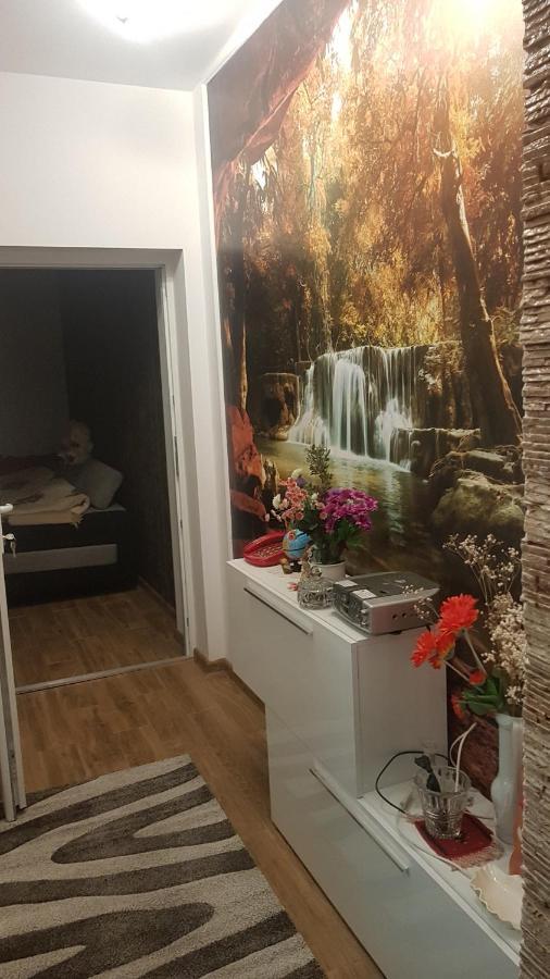 Casa Cojanu Otel Petroşani Dış mekan fotoğraf